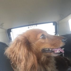 Meet your Posher, Lori